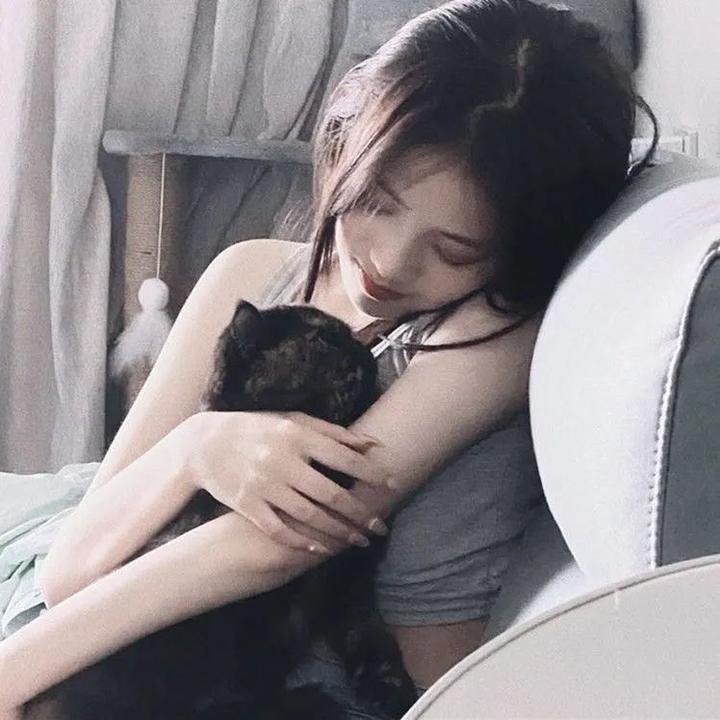智慧风暴